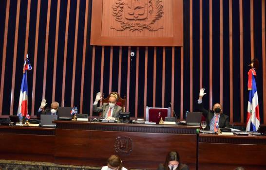 senado-mayo-1_13885268_20200513135903