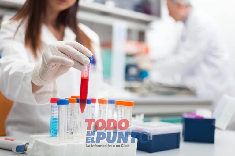 Researcher at work