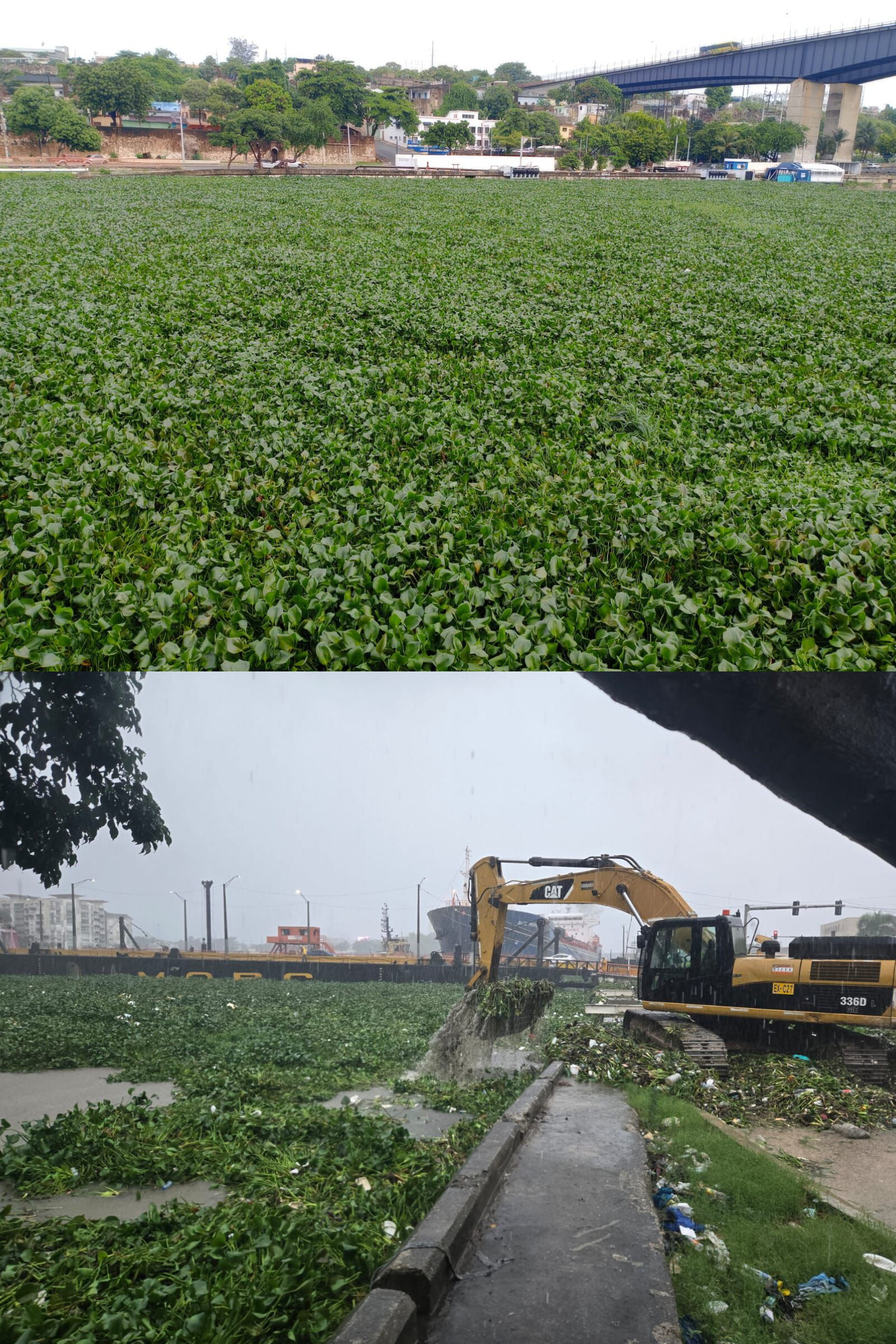 InShot_20251025_125120250