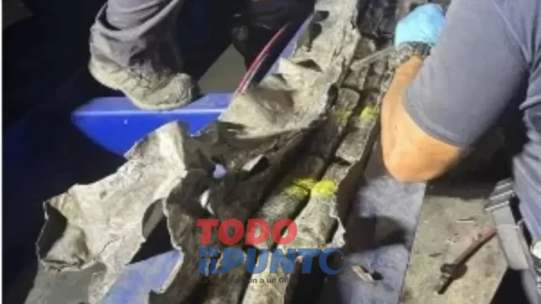 chasiss2-235be961-focus-0-0-896-504