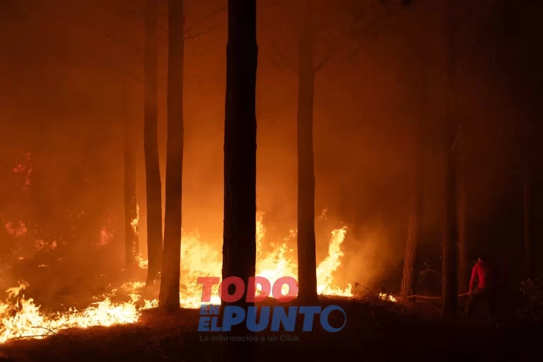 AFP__20260120__93B6237__v2__HighRes__TopshotChileEnvironmentClimateFire-scaled