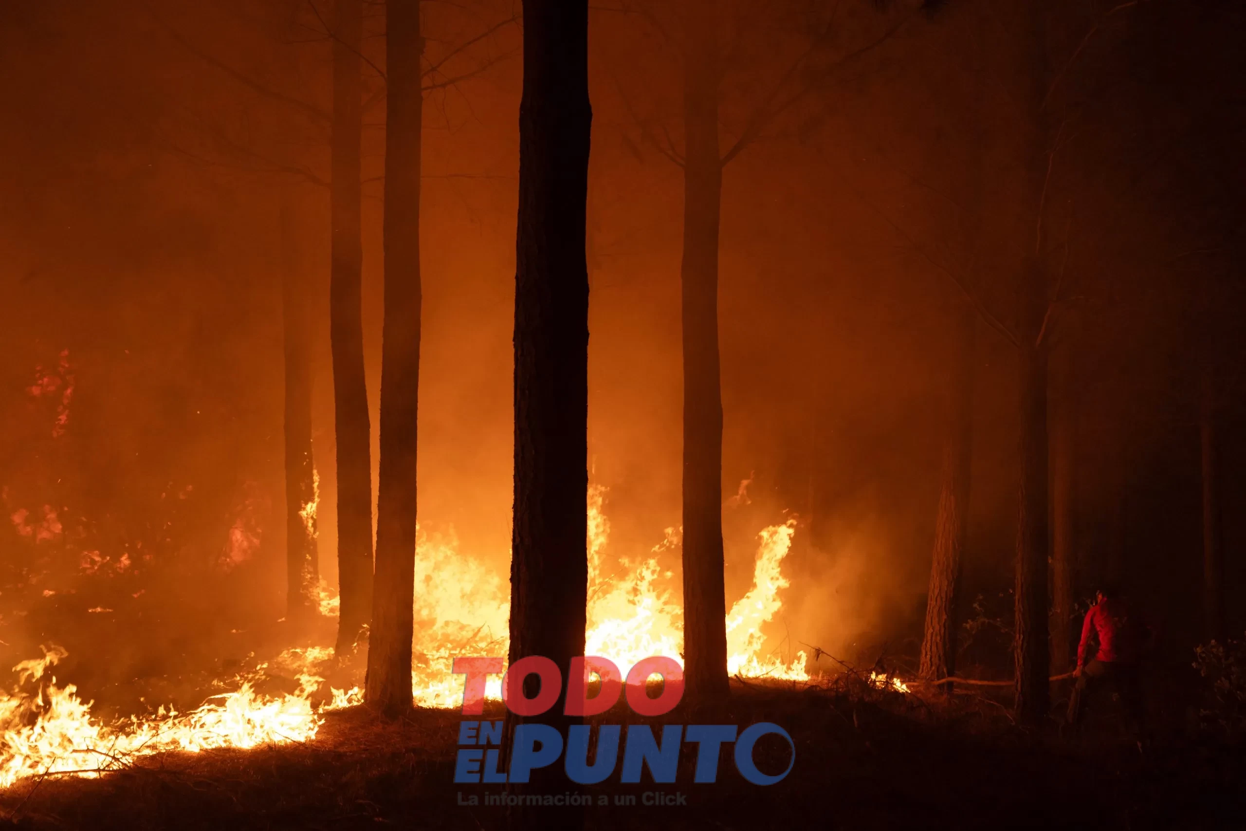 AFP__20260120__93B6237__v2__HighRes__TopshotChileEnvironmentClimateFire-scaled